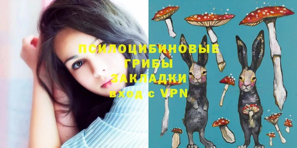 не бодяженный Надым
